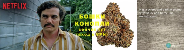 mdpv Богданович