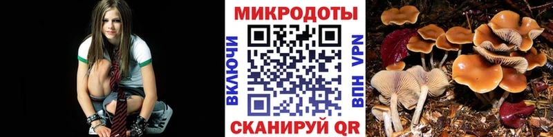 мега онион  Калининец  Псилоцибиновые грибы Magic Shrooms 